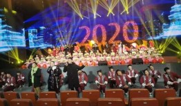 海城春晚爆料视频播放,精彩瞬间抢先看