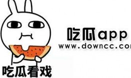 吃瓜网红视角下载安装